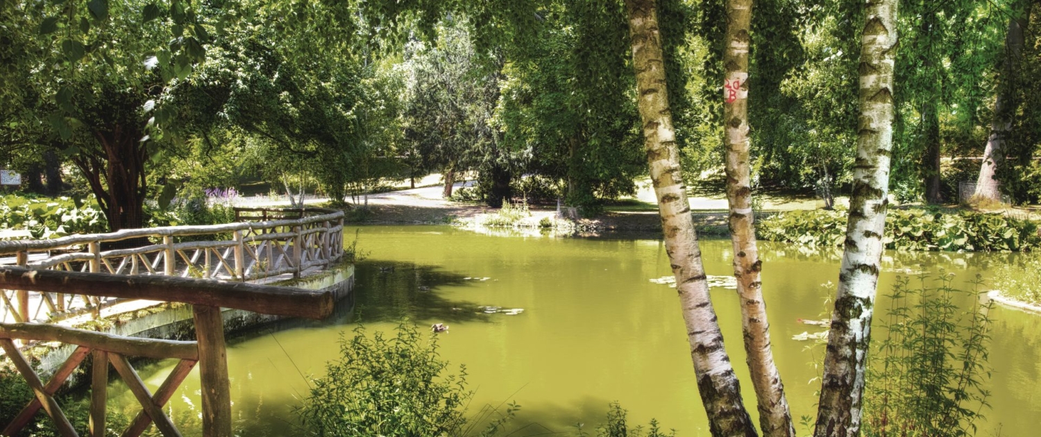 Pond in the spa park of Bad Nauheim, Hesse, Germany